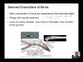The Evolution of Vertebrates - Amniotes