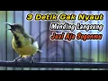 Download Lagu SOGON TROTOLAN NGRIWIK NEMBAK PENGGACOR HANDAL UNTUK SEMUA SOGON PASTI CEPAT NGKLEPER‼️AMPUH