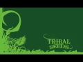 Tribal Seeds - Dark Angel [OFFICIAL AUDIO]