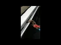 Amerimax Gutter Cover Guard Instl best tool