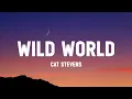 Download Lagu Cat stevens - wild world (Lyrics) from the Venom : the last dance ] trailer song