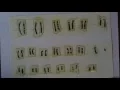 Genetics 2 Chromosomes and cell division