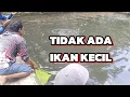 Download Lagu borongan 13jt ❗😎