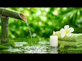 Zen Garden Water and Healing Piano Music to Ease Anxiety 自然の音とともに音楽をリラックス バンブーウォーターファウンテン 【癒し音楽BGM】