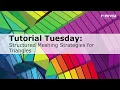 Structured Meshing Strategies for Triangular Geometry