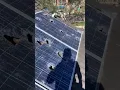 Download Lagu Solar panel demag सोलर पलेटे टूट गई #shorts #solarpanel #solar #tusiyatech