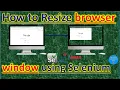 How to Resize browser window using Selenium Pradeep Nailwal