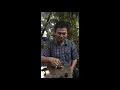 Download Lagu How to refill flake tobacco with Hentam la labu method - Malay version