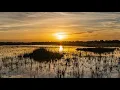 Download Lagu Tinnitus Therapy Sunset 10 Hours Nature Sounds