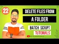Batch Script to Delete Files in a Folder