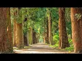 Download Lagu |JUZ 5|PARA 5|والمحصنات|MESMERISING RECITATION BY SHEIKH MAHER AL-MUAIQLY|