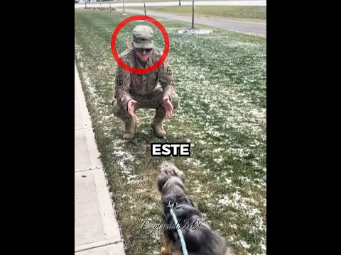 El mejor❤️🐶