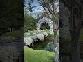Download Lagu Our civil wedding set up was breathtaking! #wedding #bride #reception #weddingceremony