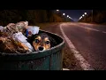 Lagu A Cry from the Trash… What Happened to This Puppy Broke Our Hearts