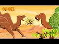 Lagu Camel vs Tob Tob Tobi Tob Tob | Animals vs Brainrot Animals [S2] | Animal Animation