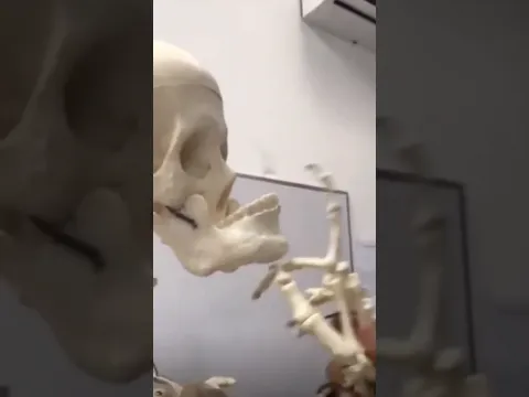 SUA VOZ NÃO É COMO VOCÊ PENSA! 😱