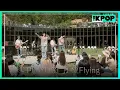 Download Lagu [🎧𝙋𝙇𝘼𝙔𝙇𝙄𝙎𝙏] ‘’ N.Flying(엔플라잉)의 라이브 모음 (LIVE ON UNPLUGGED Ver.) MP3