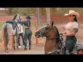 Lagu Amazing Rodeo in Colombia Beautiful Cowgirls Riding 🐴