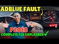 AdBlue Fault P20E8 Peugeot 208 Reductant Pressure Too Low - Explained and Fixed