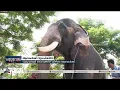 ഗുരുവായൂർ ദേവസ്വത്തിന് കീഴിലെ ആനകൾക്ക് ഇനി സുഖചികിത്സ