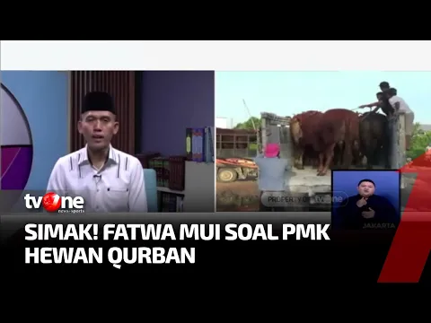 MUI Keluarkan Fatwa PMK Terkait Hewan Qurban