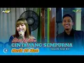 Cinta Yang Sempurna - Risa Millen Musik 99 Skob || HVS Sragen || Margo Mulyo Audio