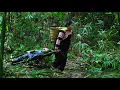 Lagu Trapped in the Wild - A Strange Man Luckily Met a Single Mother