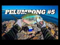 Download Lagu Big Fish Came Out and Play | Super Ultralight and Ajing Game | Pelumpong Brunei