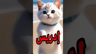 ادريس قلبي يا ناس اسم ادريس إدريس 