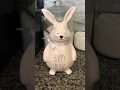 Rae Dunn pink HAPPY SPRING Easter Bunny