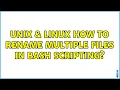 Unix Linux How to rename multiple files in Bash Scripting 2 Solutions