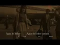 Água de Beber Acoustic Guitar [Astrud Gilberto Karaoke Songs with Lyrics Letra Portugués]