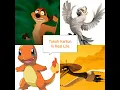 Download Lagu Timon, charmander-pokemon and others in real life
