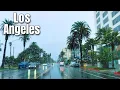 Real Rain in Los Angeles Ocean Avenue Santa Monica Drive 4K ASMR Drive No 2