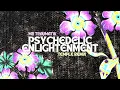 Mr Traumatik - Psychedelic Enlightenment (Temple Remix)