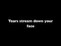 Download Lagu Fix You by Secondhand Serenade (ft Juliet Simms) lyrics