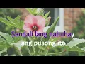 Halik Sa Hangin | KZ Tandingan Karaoke