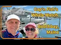 Capt n Fish Whale Watch Boothbay Maine 2025