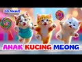 Anak Kucing Meong Meong - Lagu Anak Indonesia Populer - Si Meong Kucing Lucu 30 Menit