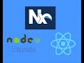 Create a monorepo project with NX NodeJS Express React
