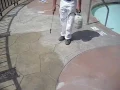 Pool Deck Color Staining