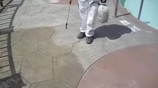 Pool Deck Color Staining