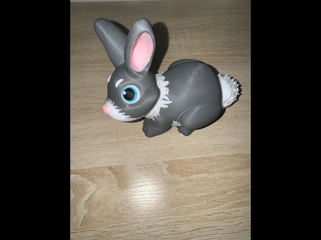 April 2025:Boingy The Rabbit video thumbnail