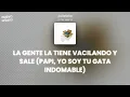 LATIN MAFIA - Julietota (Letra/Lyrics)