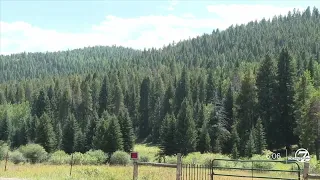 Shadow Mountain Bike Park goes before Jeffco Planning and Zoning