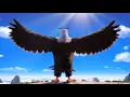 IM DA BIGGEST BIRD