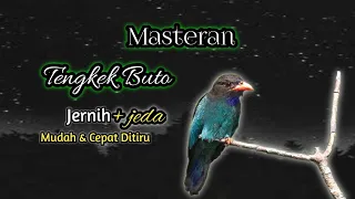 tengkek buto gacor jeda 1 menit mudah ditiru