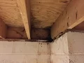 Basement Water Leaks Can Come From Above - Home Repair Advice