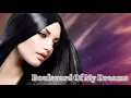 Download Lagu Modern Boots - Boulevard Of My Dreams (Instrumental Remix) İtalo Disco