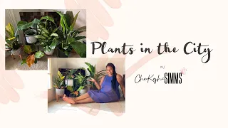 PLANT HAUL | PLANTS IN THE CITY W/ CHEKESHA SIMMS |